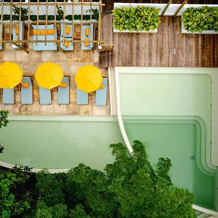 Cafe Jeri Hotel Жижока-ді-Жерікуакуара Екстер'єр фото The rooftop pool at the hotel